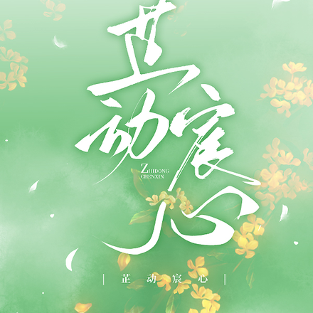 芷动宸心