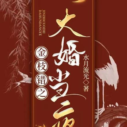 金枝错之大婚当夜