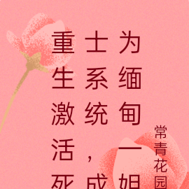 重生激活死士系统,成为缅甸一姐
