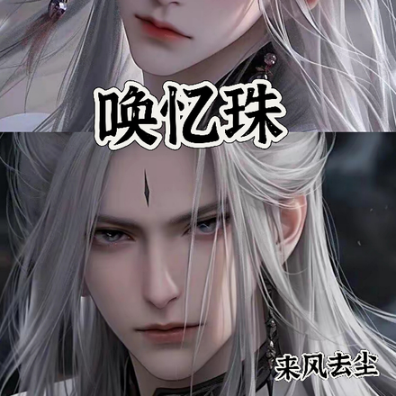 唤忆珠