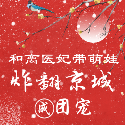 和离医妃带萌娃炸翻京城,成团宠