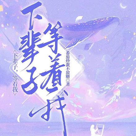 下辈子，等着我
