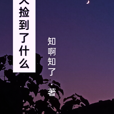 今天捡到了什么