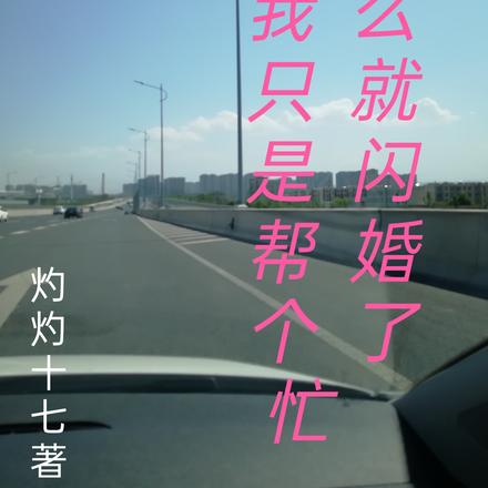 我只是帮个忙怎么就闪婚了？