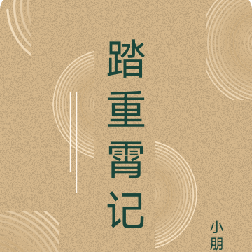 踏重霄记