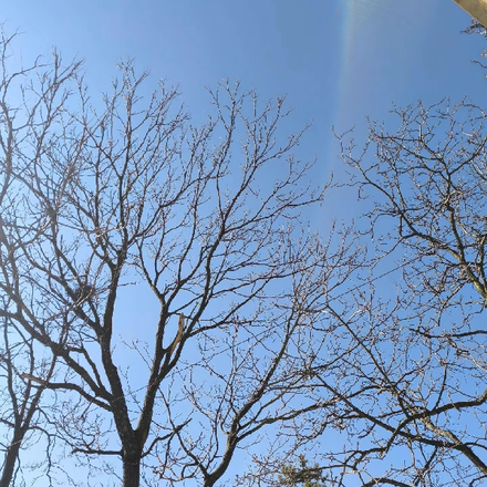 你像光明照耀我