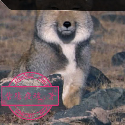 我就过山海关怎么了！