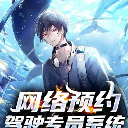 网络预约驾驶专员系统