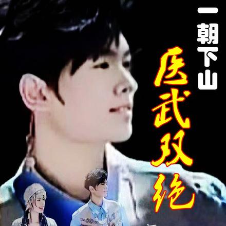 一朝出山医武双绝