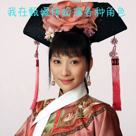 我在甄嬛传扮演各种角色
