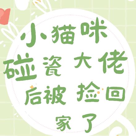 小猫咪碰瓷大佬后被捡回家了