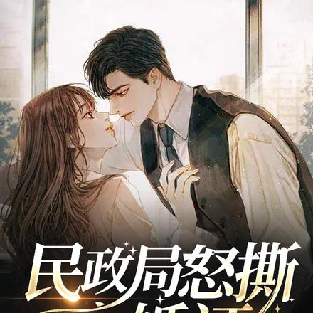 民政局怒撕离婚证,厉总他慌了!