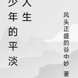 少年的平淡人生