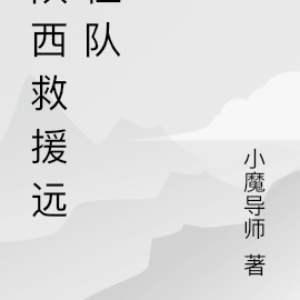 陕西救援远征队