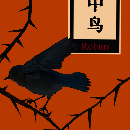林中鸟：Robins