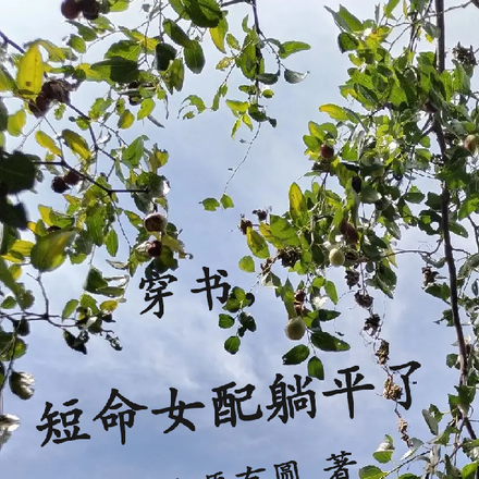 穿书,短命女配躺平了