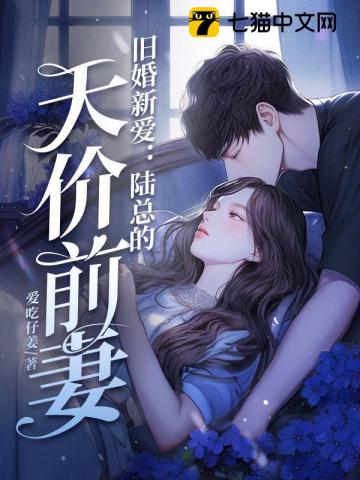 旧婚新爱:陆总的天价前妻