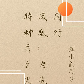 特种兵之火凤凰:与光同行
