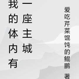 我的体内有一座主城