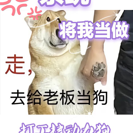 系统将我当做打工核动力狗