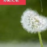 冰阳之歌