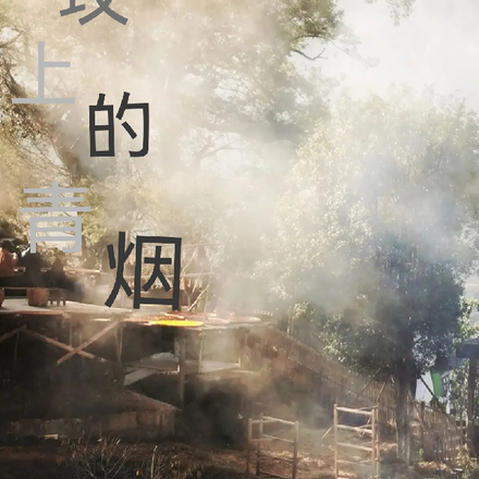 祖坟上的青烟