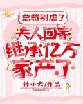 总裁别虐了,夫人回家继承亿万家产了!