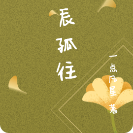 北辰孤往