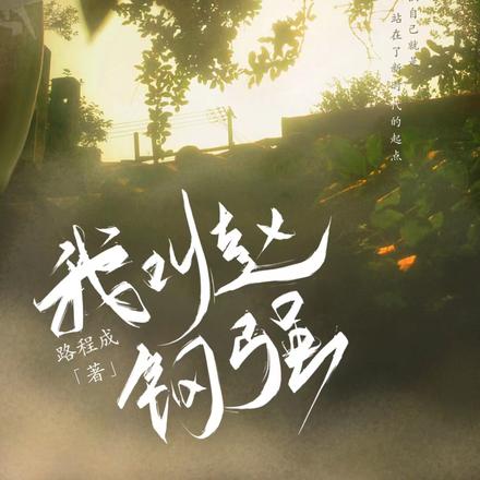 我叫赵钢强