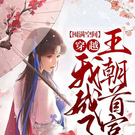囤满空间穿越:我成了王朝首富