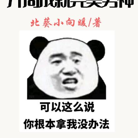 神豪：开局成就完美男神