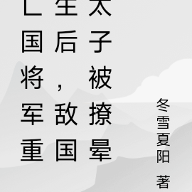 亡国将军重生后，敌国太子被撩晕