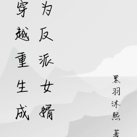 重生穿越成为反派女婿