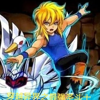 穿越异界之最强圣斗士