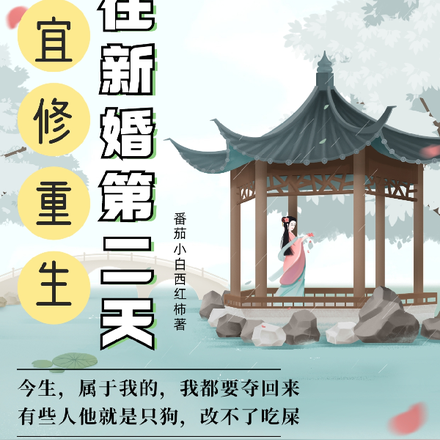 宜修重生,就在新婚第二天