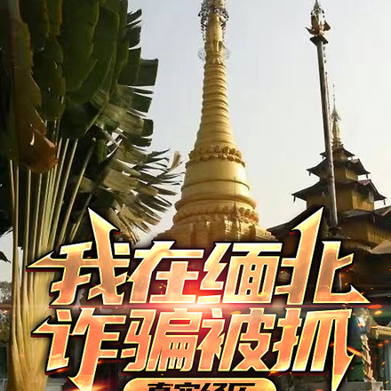 我在缅北诈骗被抓,真实经历