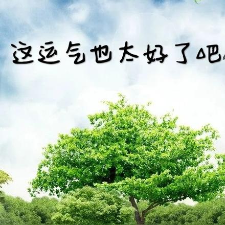 这运气也太好了吧