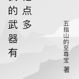 我的武器有亿点多