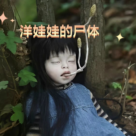 洋娃娃的尸体
