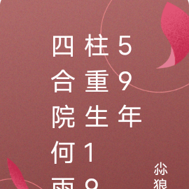 四合院何雨柱重生