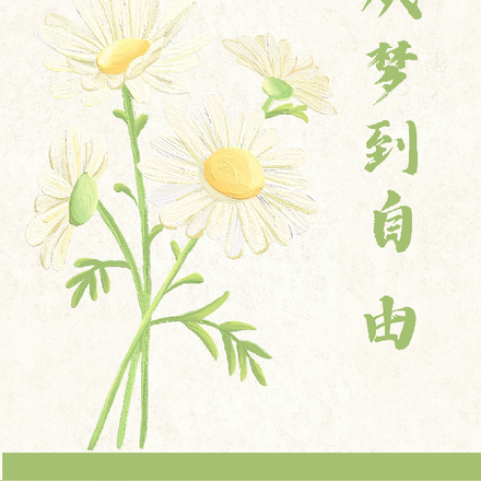 从梦到自由