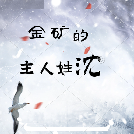 金矿的主人姓沈