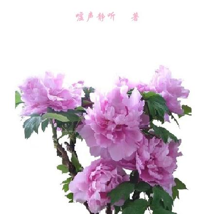 花仙子历劫记