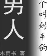 有个叫刘丰的男人