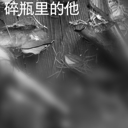 碎瓶里的他