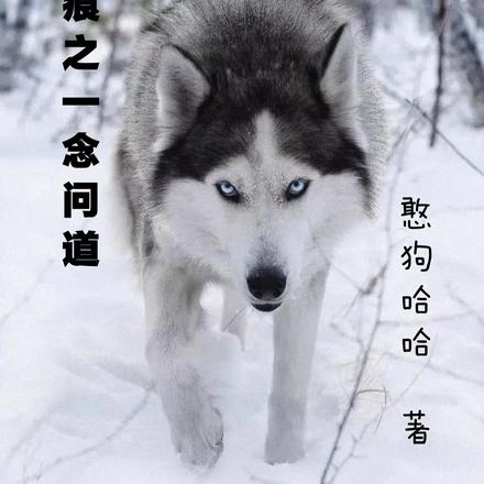 道痕之一念问道