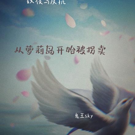 奴役与反抗：从萝莉岛开始被拐卖