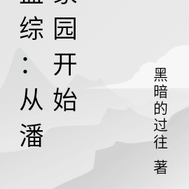 盗综:从潘家园开始
