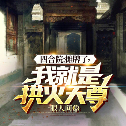 四合院:摊牌了,我就是拱火天尊