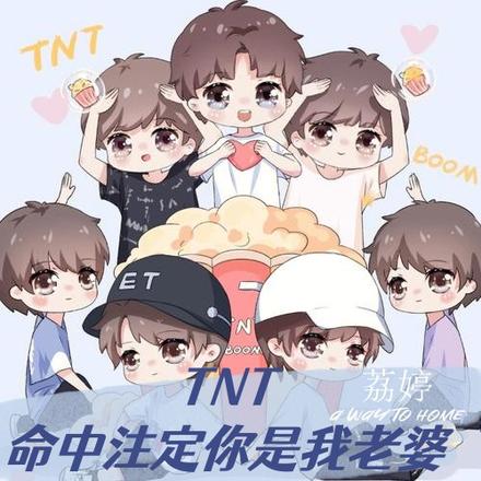 TNT命中注定你是我老婆